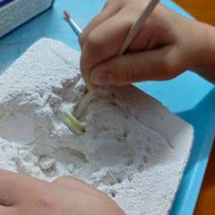 Фото отзыва 10673305