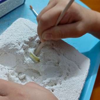 Набор для раскопок Десятое королевство 8 артефактов: отзыв пользователя Детский Мир