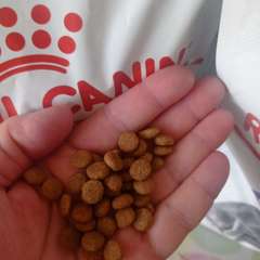 Фото отзыва 10982839