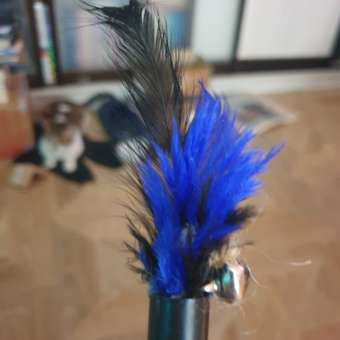 Игрушка для кошек Barbaks Дразнилка с натуральными черными перьями-наконечником 44см: отзыв пользователя. Зоомагазин Зоозавр