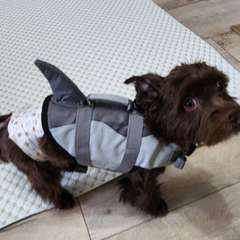 Фото отзыва 10747208