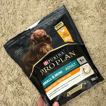 Корм для собак PRO PLAN мелких и карликовых пород с комплексом Optibalance курица с рисом 700г: отзыв пользователя. Зоомагазин Зоозавр