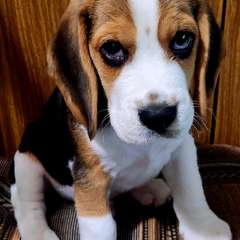 Фото отзыва 10566499