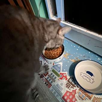 Корм сухой для кошек ROYAL CANIN Sterilised 3.5кг пожилых стерилизованных: отзыв пользователя. Зоомагазин Зоозавр