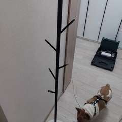 Фото отзыва 10629314