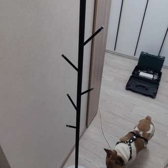 Вешалка HomDoctor напольная: отзыв пользователя Детский Мир