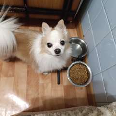 Фото отзыва 11183894