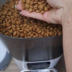 Фото отзыва 10450235