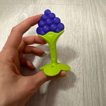 Прорезыватель Baby and nature Виноградик: отзыв пользователя Детский Мир
