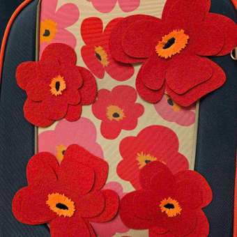 Ранец Erhaft: отзыв пользователя ДетМир