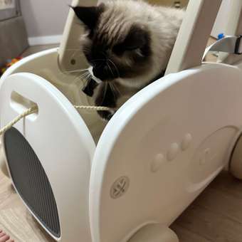 Каталка Happy Baby Vroomy на веревочке: отзыв пользователя Детский Мир