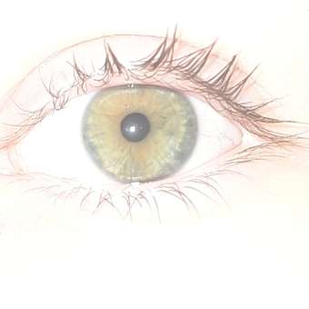 Щипцы для завивки ресниц Yiwu Youda прорезиненные ручки в ассортименте 544066: отзыв пользователя магазина низких цен ЕЩЁ