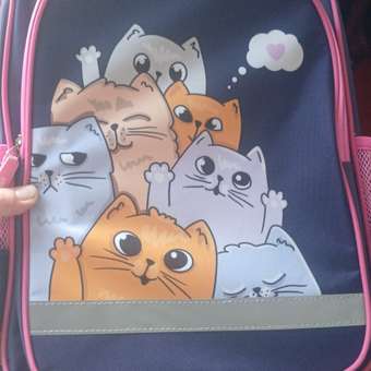 Рюкзак Пифагор: отзыв пользователя Детский Мир