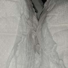 Фото отзыва 11165923