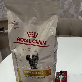 Корм для кошек ROYAL CANIN Veterinary Diet Urinary S/O Moderate Calorie Лечение и профилактика МКБ 1.5кг: отзыв пользователя. Зоомагазин Зоозавр