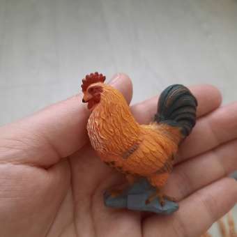 Фигурка Collecta Петух: отзыв пользователя Детский Мир