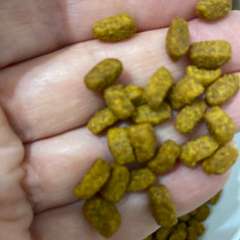 Фото отзыва 10713629