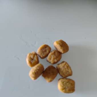 Корм для собак ROYAL CANIN породы йоркширский терьер 500г: отзыв пользователя. Зоомагазин Зоозавр