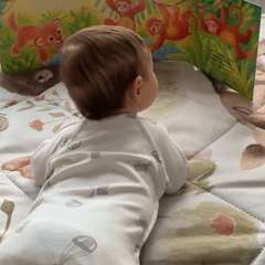 Фото отзыва 10573887