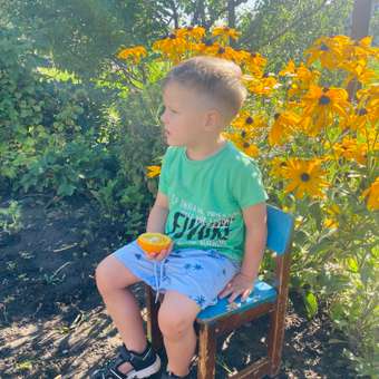 Сандалии Jook: отзыв пользователя ДетМир