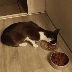 Видео отзыва 11034168