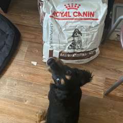 Фото отзыва 11185789