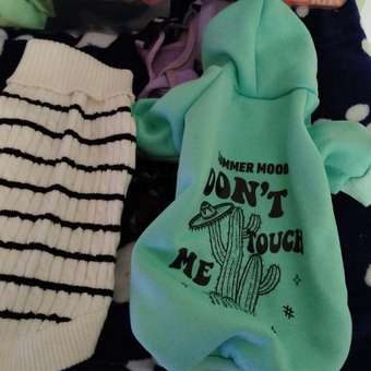 Толстовка для собак и кошек Зоозавр: отзыв пользователя. Зоомагазин Зоозавр