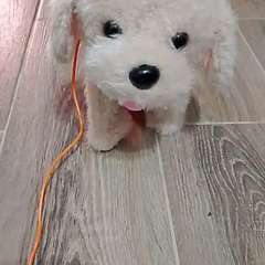 Видео отзыва 11149904