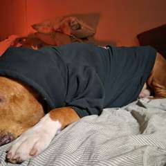 Фото отзыва 10779088