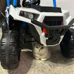 Фото отзыва 10635614