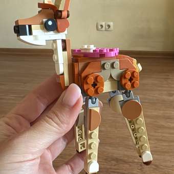 Конструктор LEGO Creator Дикие животные сафари 780 дет.: отзыв пользователя Детский Мир