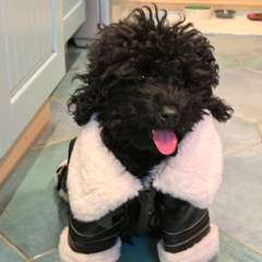 Фото отзыва 10652022