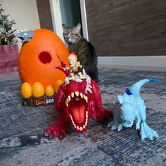 Фото отзыва 10836927