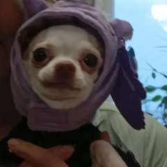 Фото отзыва 10779749