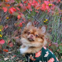 Фото отзыва 10648009