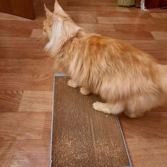 Когтедралка для кошек РАВ с кошачьей мятой большая 29689: отзыв пользователя. Зоомагазин Зоозавр