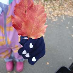 Фото отзыва 10446008