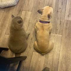 Фото отзыва 10554090