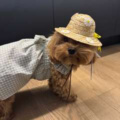 Фото отзыва 11031003