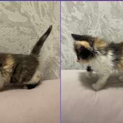 Фото отзыва 11304269