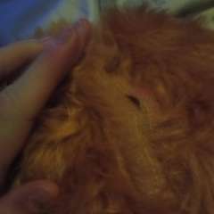 Фото отзыва 10786253