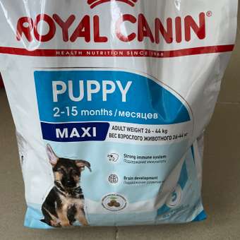 Корм для щенков ROYAL CANIN Maxi Puppy 3кг: отзыв пользователя. Зоомагазин Зоозавр