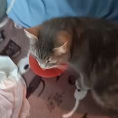 Фото отзыва 10151706