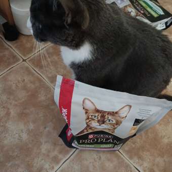 Корм для кошек Pro Plan 400+200г курица: отзыв пользователя. Зоомагазин Зоозавр