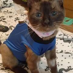 Фото отзыва 10518804