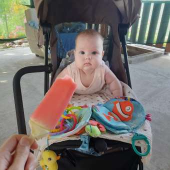 Коляска прогулочная Amarobaby Route коричневый: отзыв пользователя Детский Мир