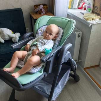Стульчик для кормления Babyton Sweet Meals Mint зеленый: отзыв пользователя Детский Мир