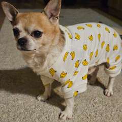 Фото отзыва 10635430