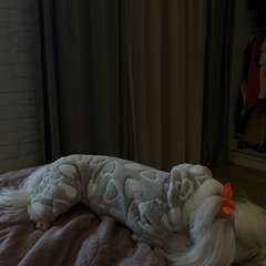 Фото отзыва 10986192