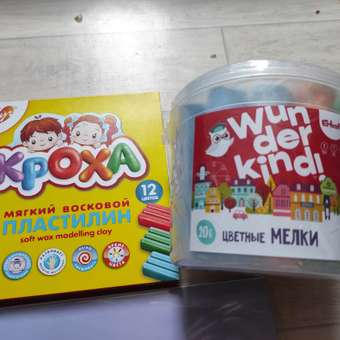 Мел сухой Erhaft 20 шт.: отзыв пользователя Детский Мир